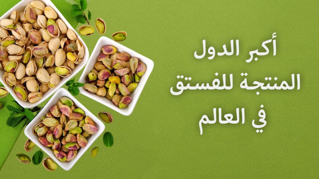 أكبر الدول المنتجة والمصدرة للفستق في العالم 2025 أكبر الدول المنتجة للفستق في العالم