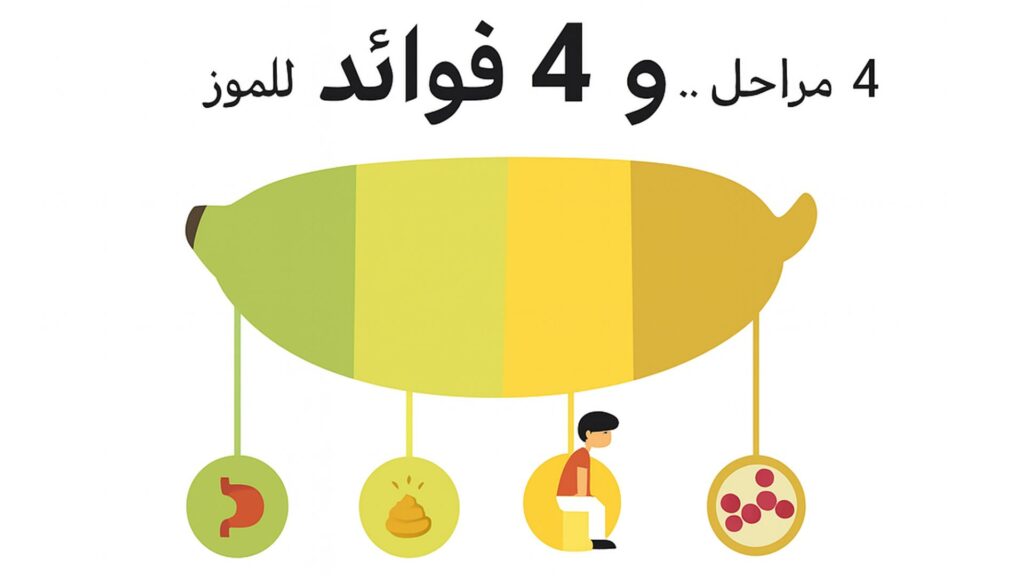 مراحل نضوج الموز