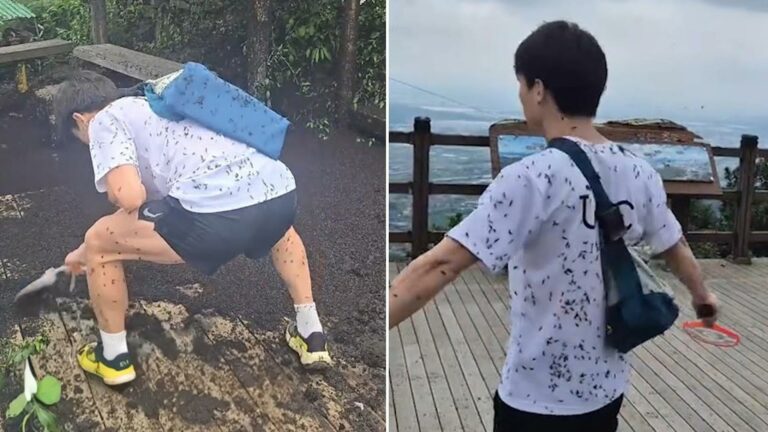 غزو حشرات الحب