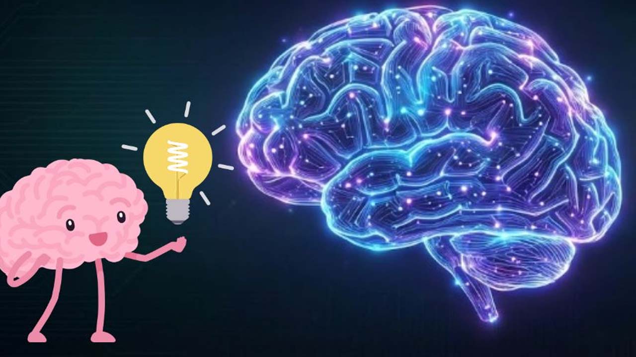 حقائق مدهشة عن الدماغ البشري