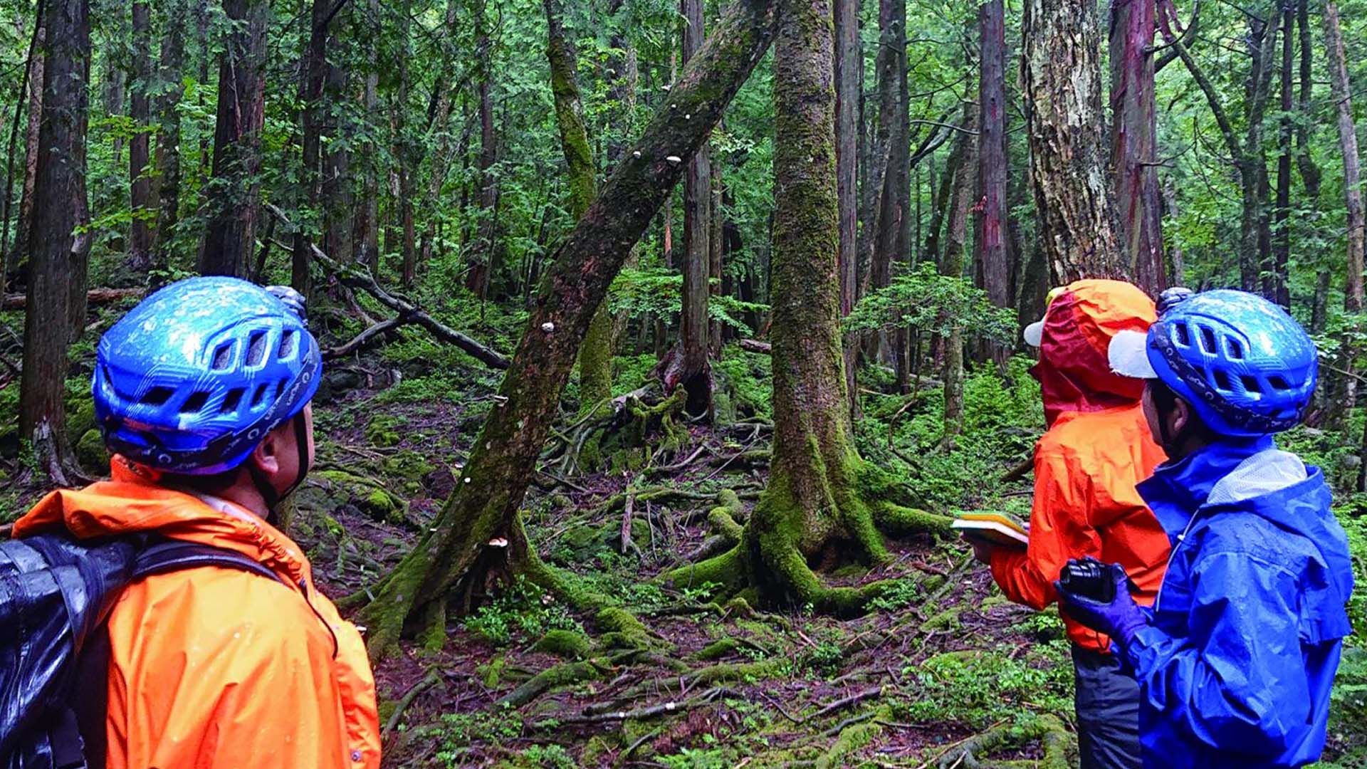 اكتشاف الجواهر الخفية على الأرض