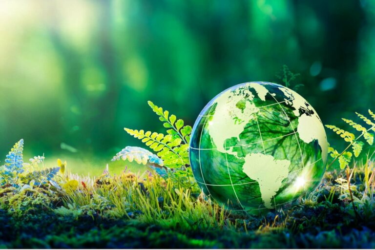 كيف تبدأ نمط حياة صديق للبيئة دون تكلفة؟ نمط حياة صديق للبيئة