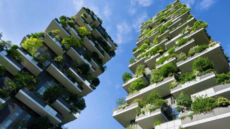 الزراعة العمودية والاكتفاء الحضري