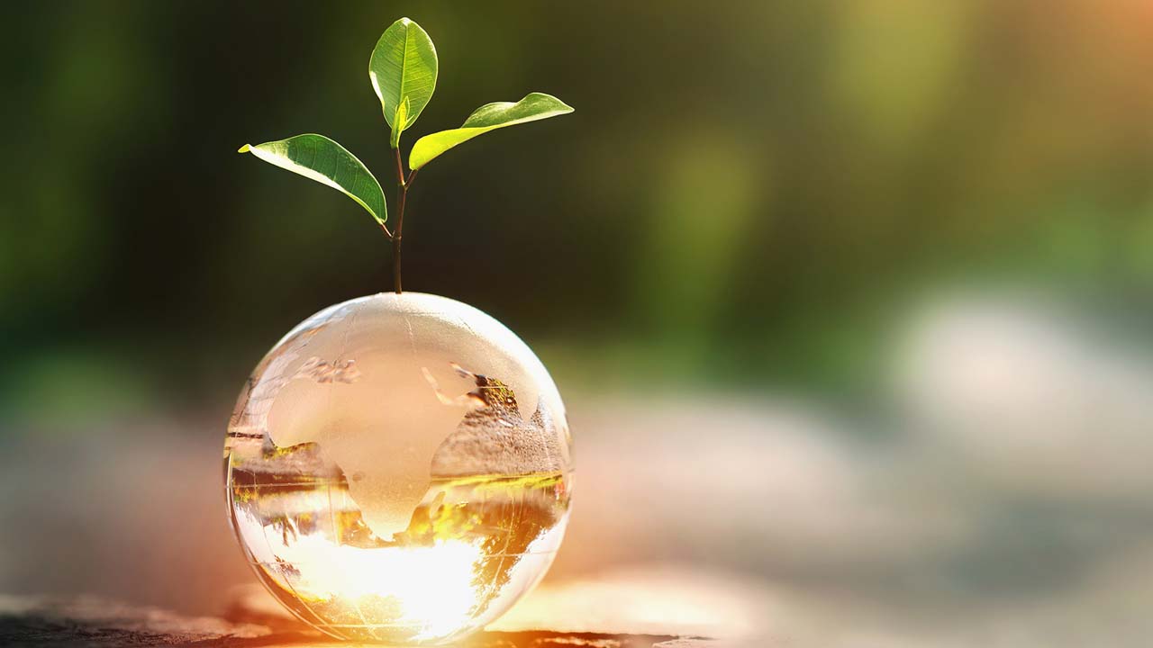 حقائق غريبة وممتعة