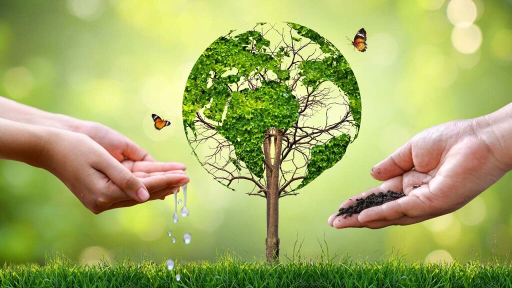 الحفاظ على البيئة والاستدامة