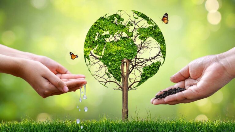 الحفاظ على البيئة والاستدامة