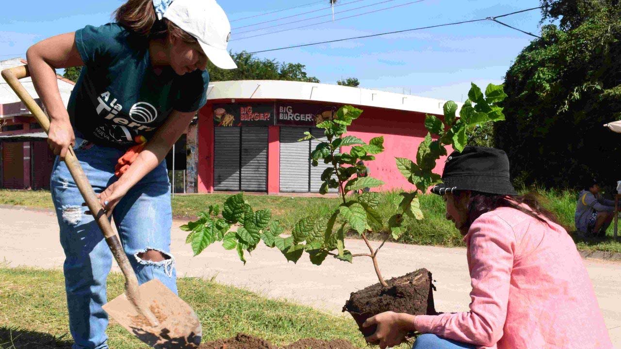 "التشجير الحضري وإعادة الغابات 2026"