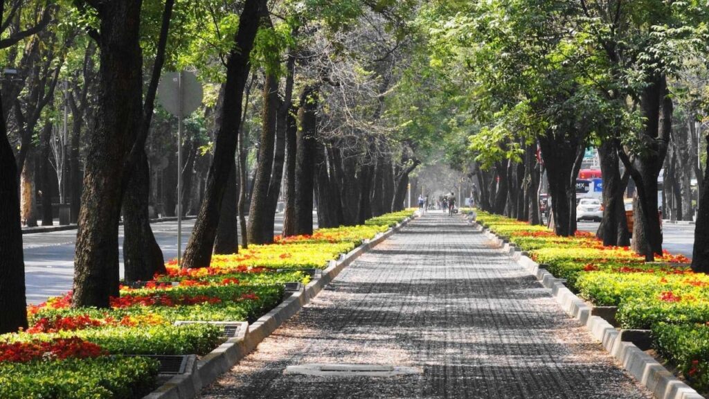 "التشجير الحضري وإعادة الغابات 2026"