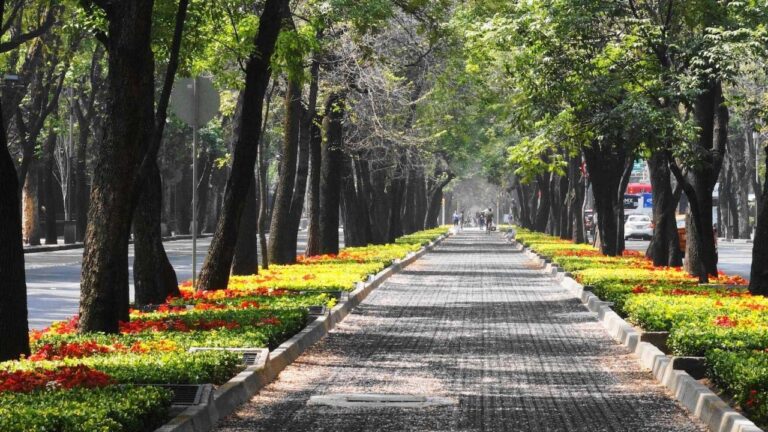 "التشجير الحضري وإعادة الغابات 2026"