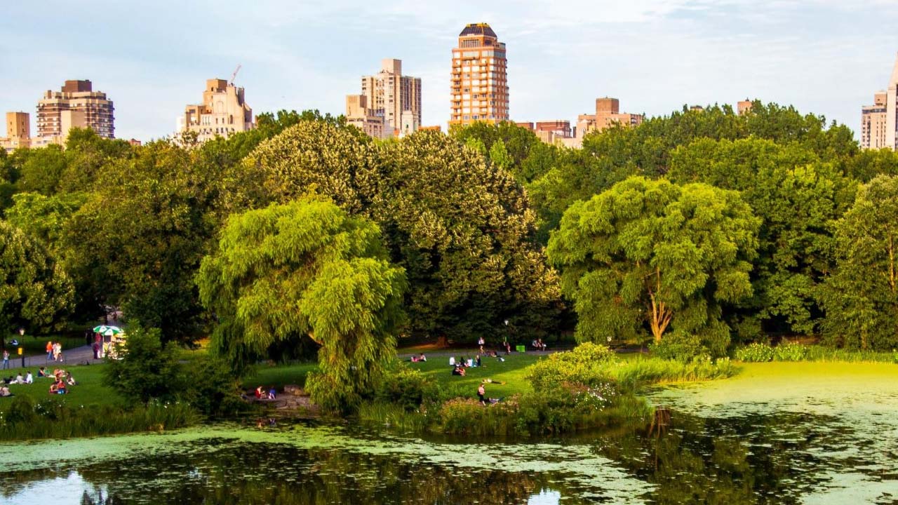 "التشجير الحضري وإعادة الغابات 2026"