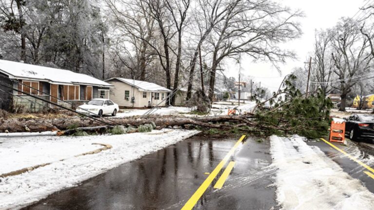 دوامة قطبية تشل أميركا