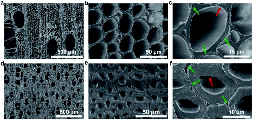 معامل انكسار الخشب البلسا منزوع اللجنين لمركبات حيوية شفافة.